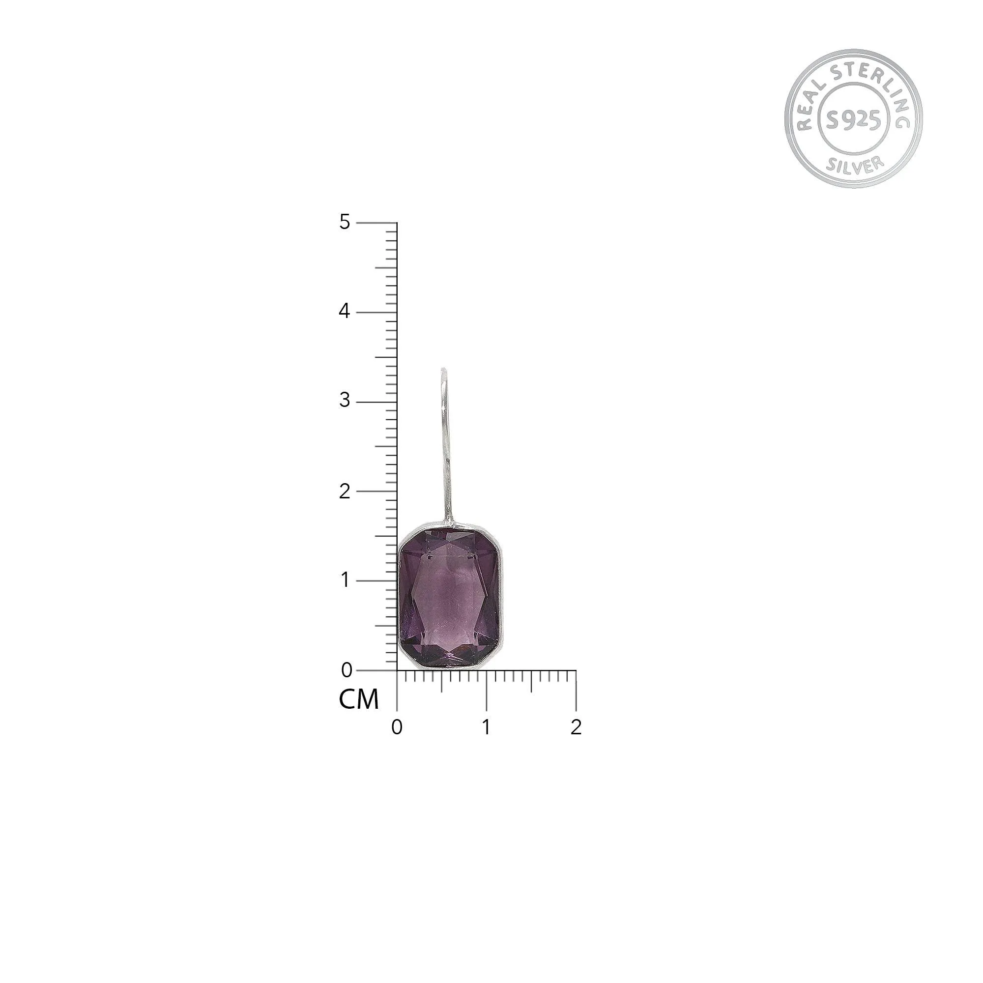 AVNI  Oxidised Silver Royal Purple Earrings Studs For Women & Girls