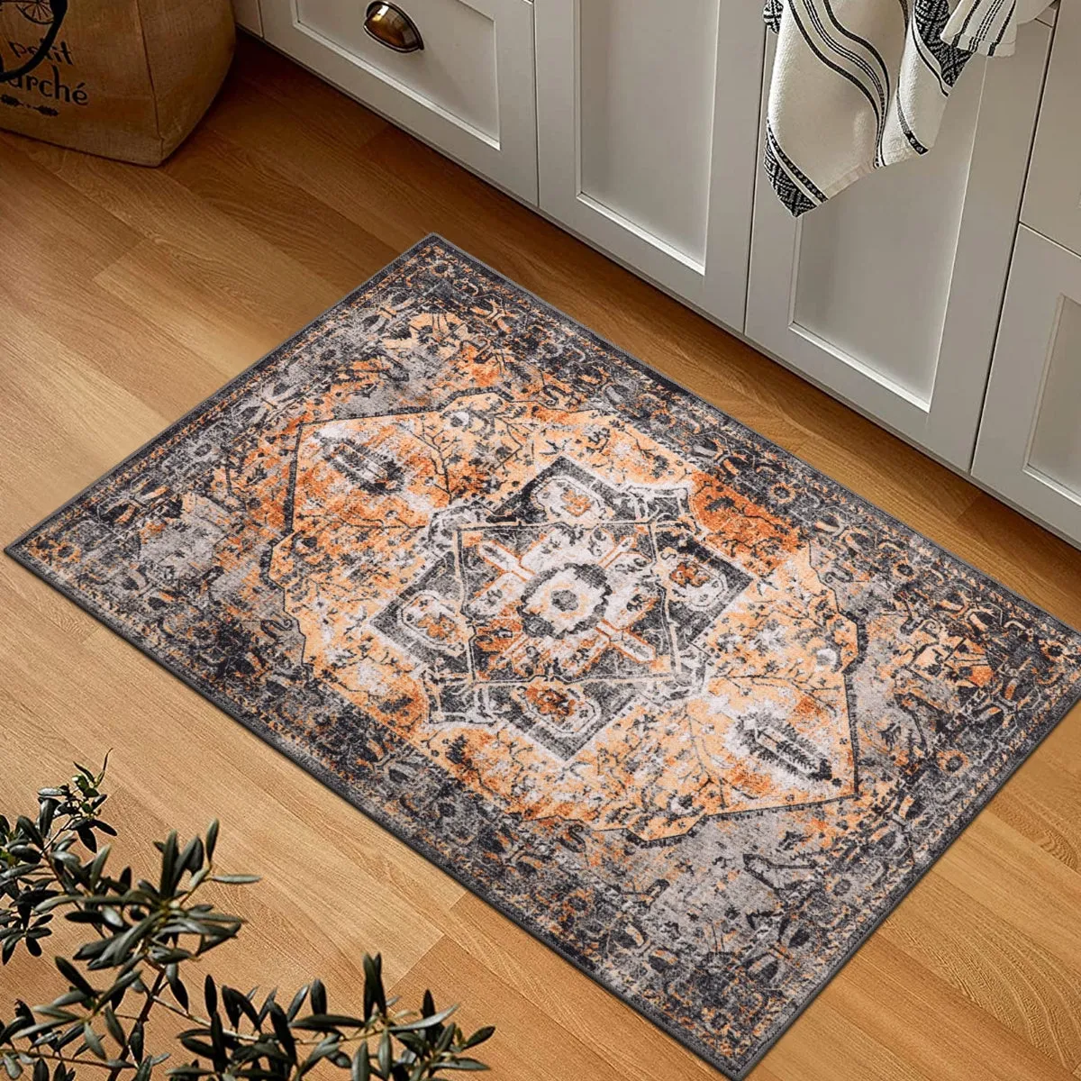 Harriet Traditional Medallion Distressed Orange Area Rug