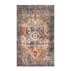 Harriet Traditional Medallion Distressed Orange Area Rug