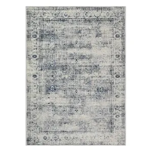 Margot Vintage Distressed Grey/Blue Area Rug