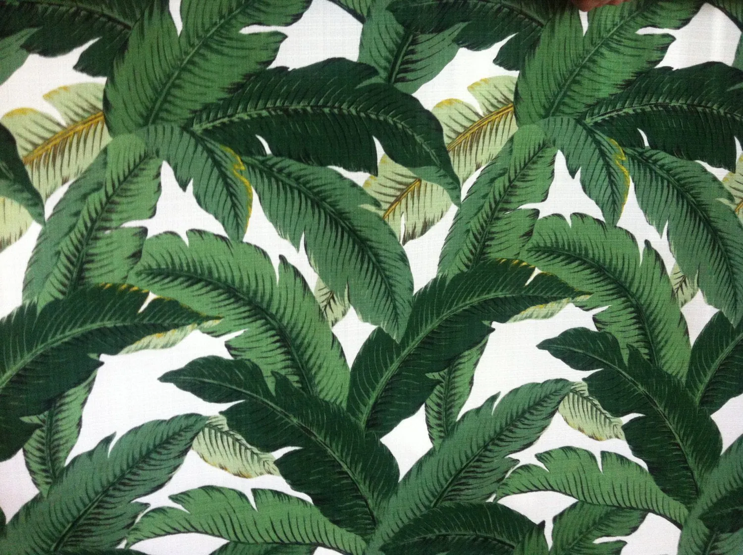 Polyester Dark Green Banana Leaves Beverly Hills Hollywood Regency Fabric by the Yard Indoor/outdoor