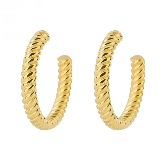 Rope Pattern Open Yellow Gold Hoop Earrings E6216